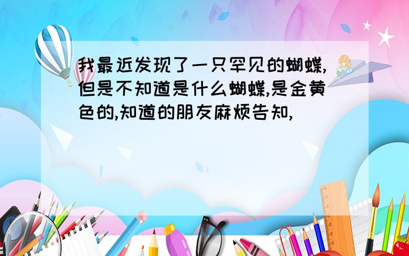 我最近发现了一只罕见的蝴蝶,但是不知道是什么蝴蝶,是金黄色的,知道的朋友麻烦告知,