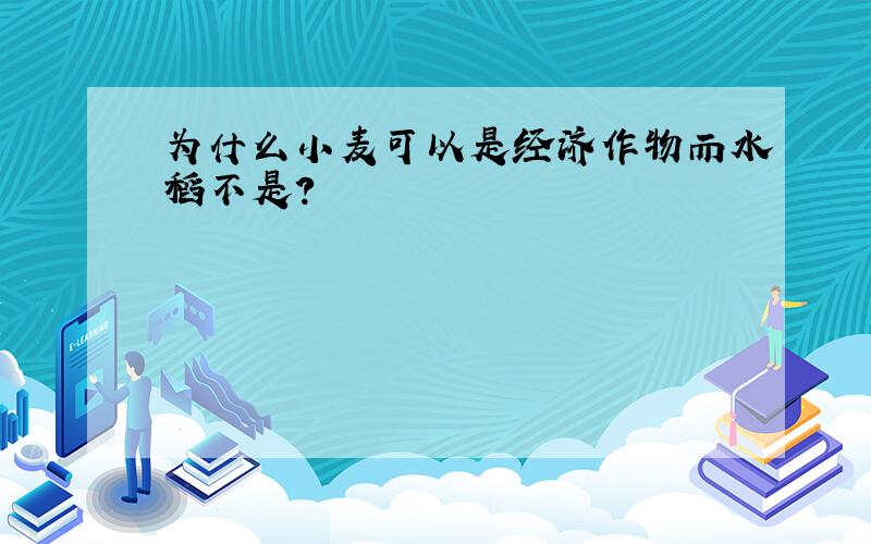 为什么小麦可以是经济作物而水稻不是?