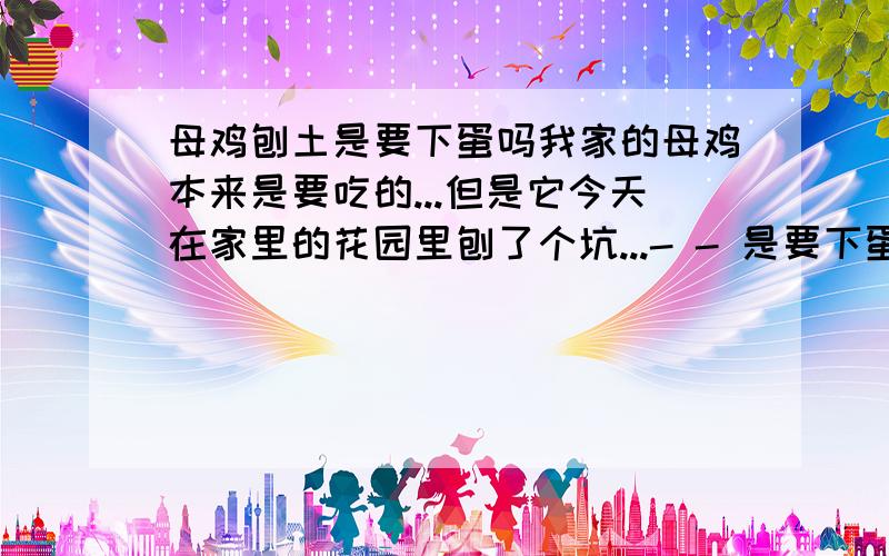 母鸡刨土是要下蛋吗我家的母鸡本来是要吃的...但是它今天在家里的花园里刨了个坑...- - 是要下蛋了么?(⊙o⊙好奇）