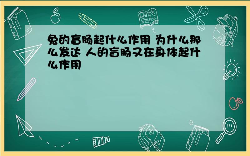 兔的盲肠起什么作用 为什么那么发达 人的盲肠又在身体起什么作用