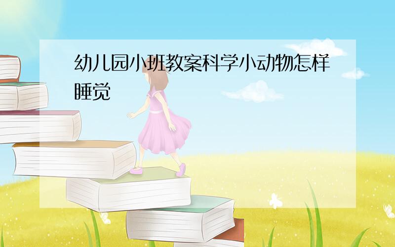 幼儿园小班教案科学小动物怎样睡觉