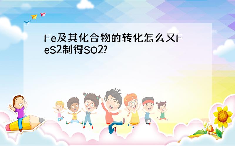 Fe及其化合物的转化怎么又FeS2制得SO2?