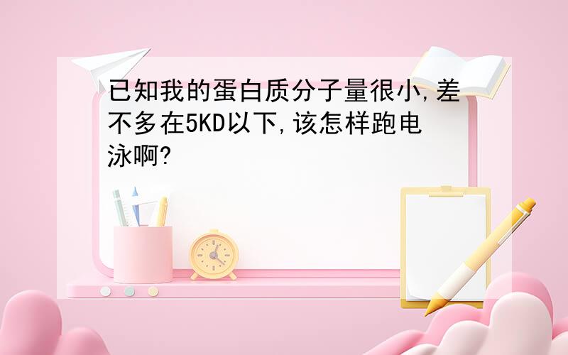 已知我的蛋白质分子量很小,差不多在5KD以下,该怎样跑电泳啊?