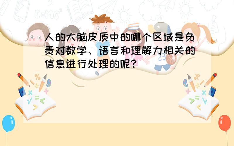 人的大脑皮质中的哪个区域是负责对数学、语言和理解力相关的信息进行处理的呢?