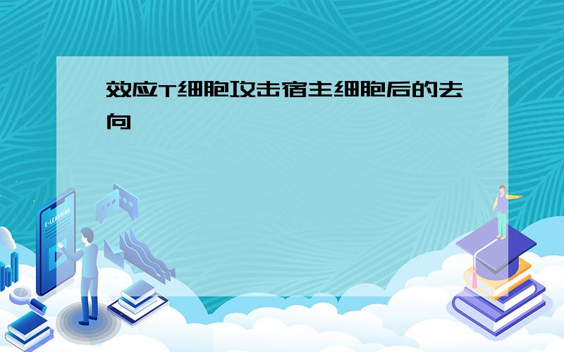 效应T细胞攻击宿主细胞后的去向