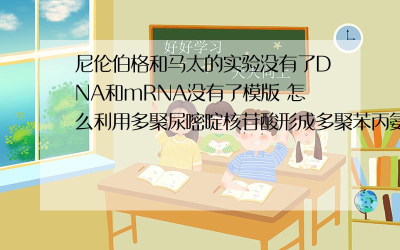 尼伦伯格和马太的实验没有了DNA和mRNA没有了模版 怎么利用多聚尿嘧啶核苷酸形成多聚苯丙氨酸的肽链