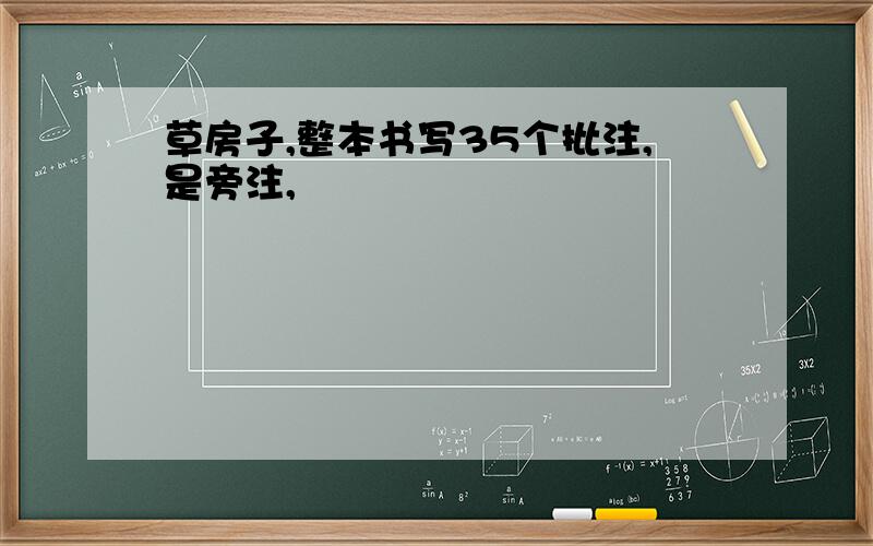 草房子,整本书写35个批注,是旁注,