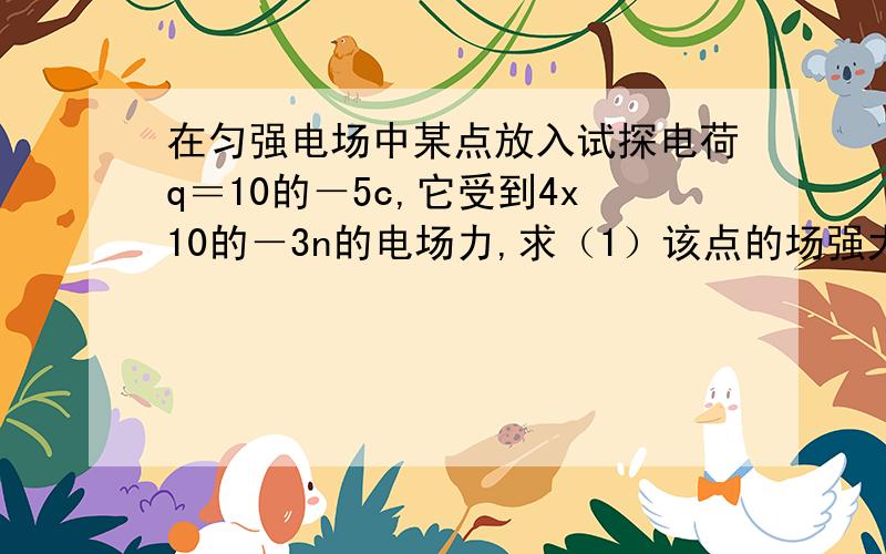 在匀强电场中某点放入试探电荷q＝10的－5c,它受到4x10的－3n的电场力,求（1）该点的场强大小（2）如...