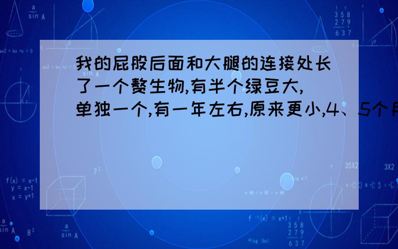 我的屁股后面和大腿的连接处长了一个赘生物,有半个绿豆大,单独一个,有一年左右,原来更小,4、5个月前有一次洗澡挤了一下结