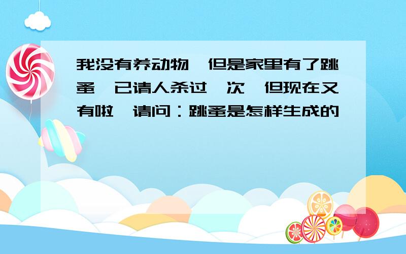 我没有养动物,但是家里有了跳蚤,已请人杀过一次,但现在又有啦,请问：跳蚤是怎样生成的