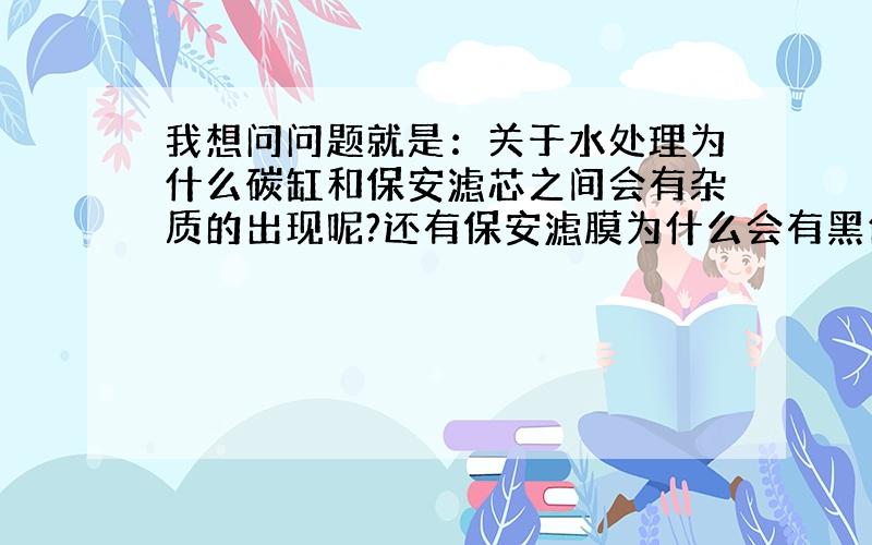 我想问问题就是：关于水处理为什么碳缸和保安滤芯之间会有杂质的出现呢?还有保安滤膜为什么会有黑色杂