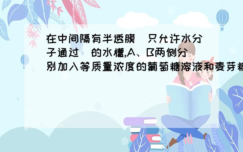 在中间隔有半透膜（只允许水分子通过）的水槽,A、B两侧分别加入等质量浓度的葡萄糖溶液和麦芽糖.然后在