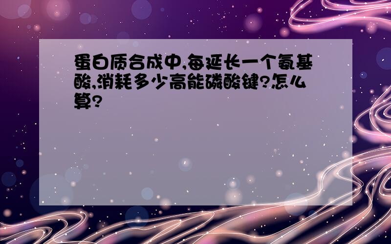 蛋白质合成中,每延长一个氨基酸,消耗多少高能磷酸键?怎么算?