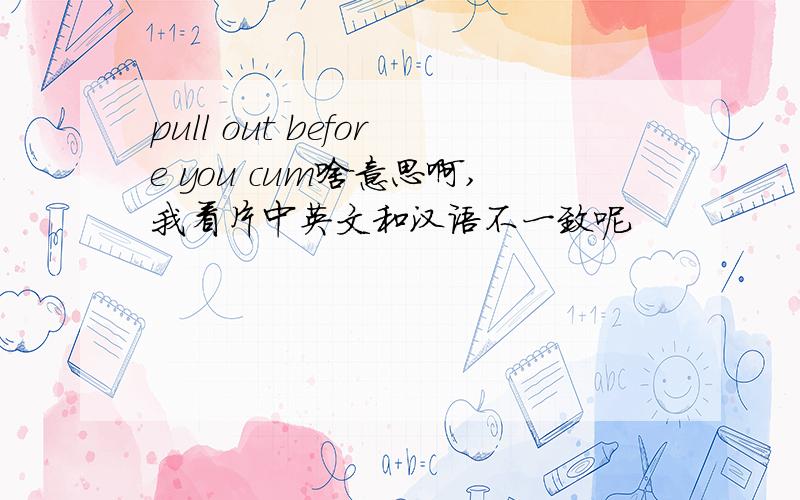 pull out before you cum啥意思啊,我看片中英文和汉语不一致呢