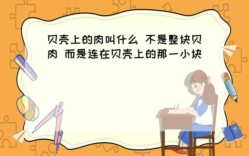 贝壳上的肉叫什么 不是整块贝肉 而是连在贝壳上的那一小块