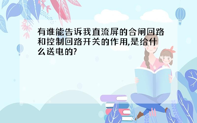 有谁能告诉我直流屏的合闸回路和控制回路开关的作用,是给什么送电的?