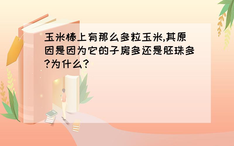 玉米棒上有那么多粒玉米,其原因是因为它的子房多还是胚珠多?为什么?