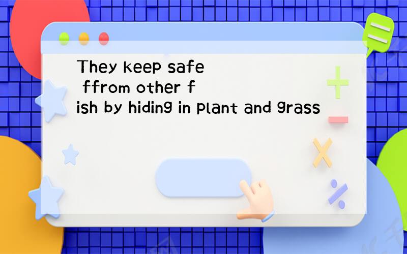 They keep safe ffrom other fish by hiding in plant and grass