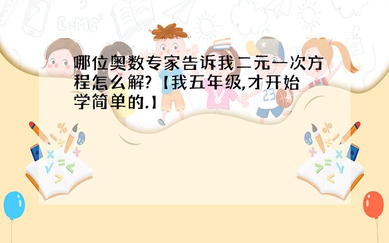 哪位奥数专家告诉我二元一次方程怎么解?【我五年级,才开始学简单的.】