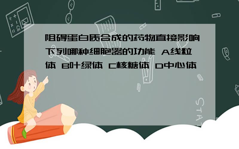 阻碍蛋白质合成的药物直接影响下列哪种细胞器的功能 A线粒体 B叶绿体 C核糖体 D中心体