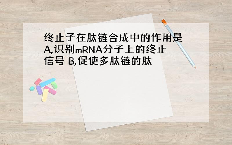 终止子在肽链合成中的作用是 A,识别mRNA分子上的终止信号 B,促使多肽链的肽