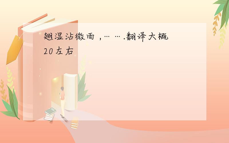 翅湿沾微雨 ,…….翻译大概20左右