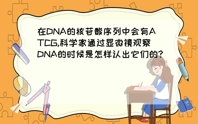 在DNA的核苷酸序列中会有ATCG,科学家通过显微镜观察DNA的时候是怎样认出它们的?