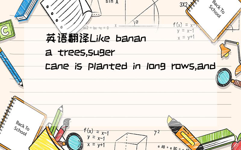 英语翻译Like banana trees,suger cane is planted in long rows,and