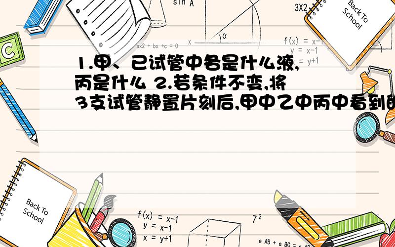 1.甲、已试管中各是什么液,丙是什么 2.若条件不变,将3支试管静置片刻后,甲中乙中丙中看到的现象是什么