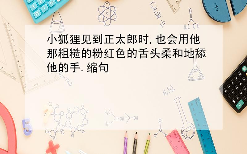 小狐狸见到正太郎时,也会用他那粗糙的粉红色的舌头柔和地舔他的手.缩句