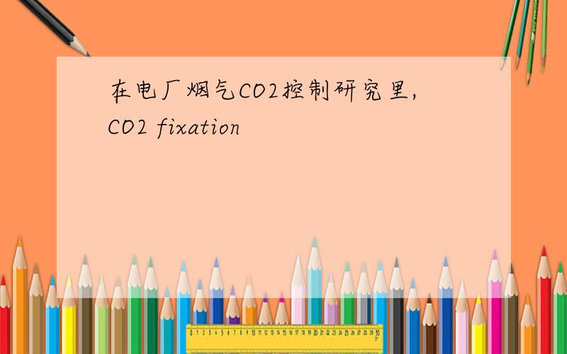 在电厂烟气CO2控制研究里,CO2 fixation