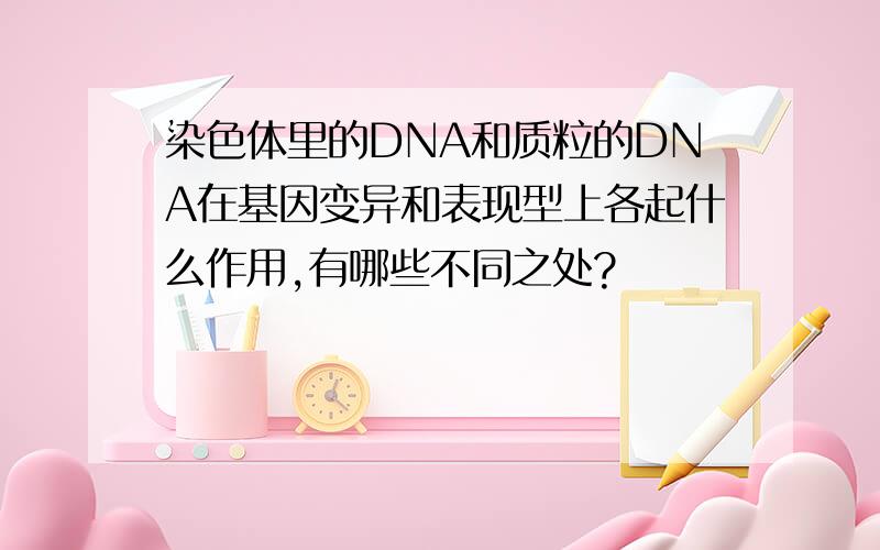 染色体里的DNA和质粒的DNA在基因变异和表现型上各起什么作用,有哪些不同之处?