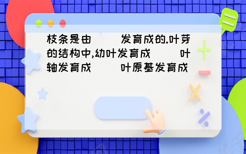 枝条是由( )发育成的.叶芽的结构中,幼叶发育成( )叶轴发育成( )叶原基发育成( )