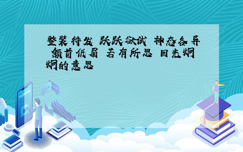 整装待发 跃跃欲试 神态各异 颔首低眉 若有所思 目光炯炯的意思