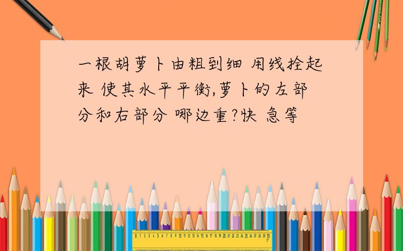 一根胡萝卜由粗到细 用线拴起来 使其水平平衡,萝卜的左部分和右部分 哪边重?快 急等