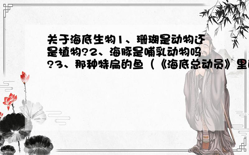 关于海底生物1、珊瑚是动物还是植物?2、海豚是哺乳动物吗?3、那种特扁的鱼（《海底总动员》里的“校车”）叫什么?4、灰鲸