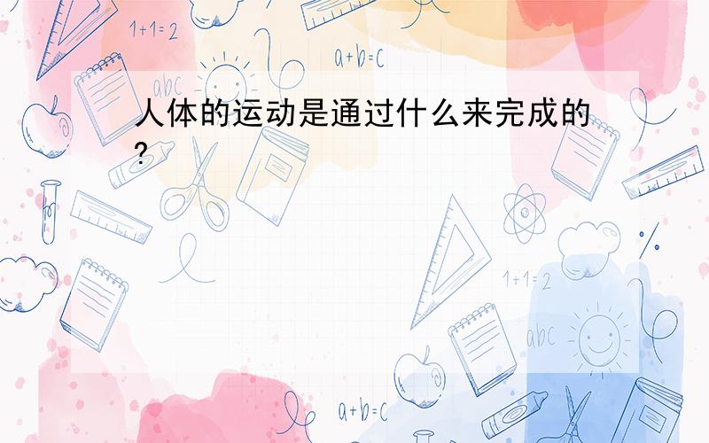 人体的运动是通过什么来完成的?