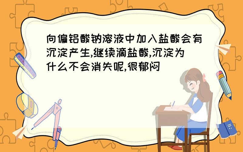 向偏铝酸钠溶液中加入盐酸会有沉淀产生,继续滴盐酸,沉淀为什么不会消失呢,很郁闷