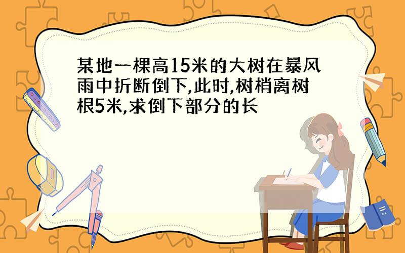 某地一棵高15米的大树在暴风雨中折断倒下,此时,树梢离树根5米,求倒下部分的长