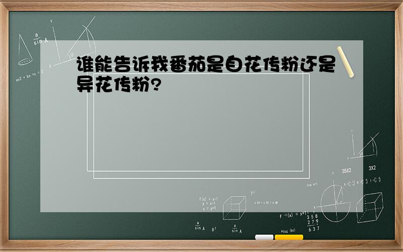 谁能告诉我番茄是自花传粉还是异花传粉?