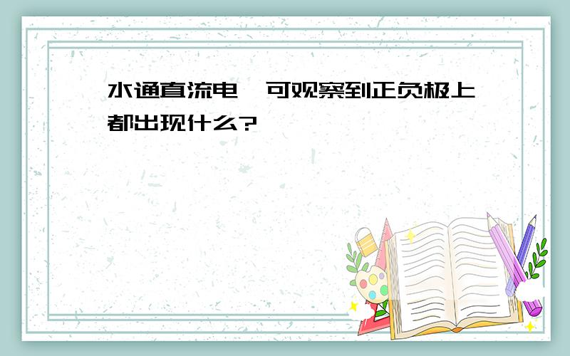 水通直流电,可观察到正负极上都出现什么?