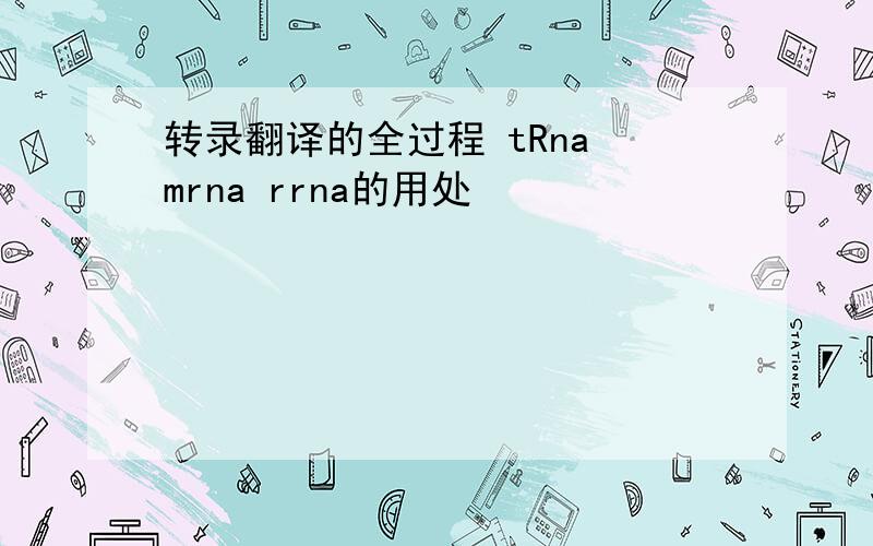 转录翻译的全过程 tRna mrna rrna的用处