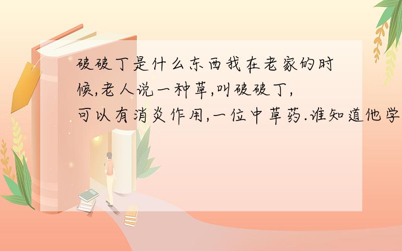 破破丁是什么东西我在老家的时候,老人说一种草,叫破破丁,可以有消炎作用,一位中草药.谁知道他学名叫什么啊?