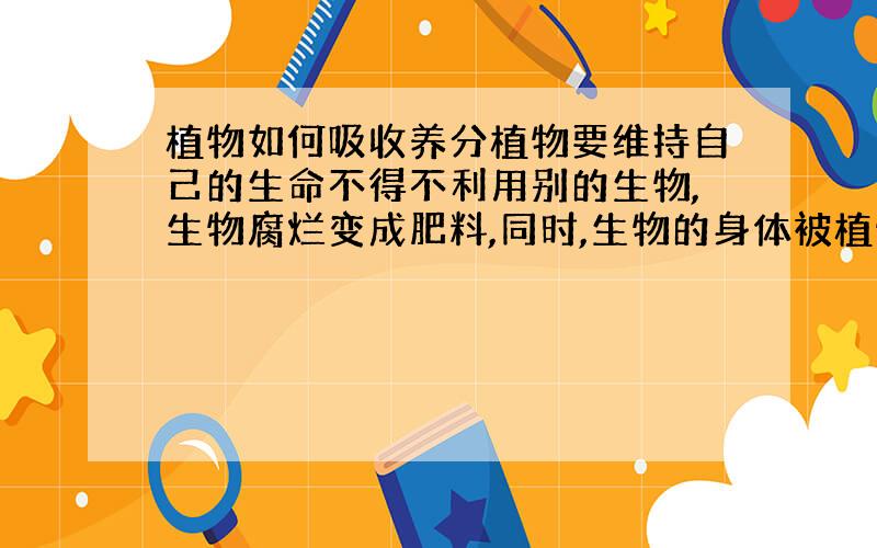 植物如何吸收养分植物要维持自己的生命不得不利用别的生物,生物腐烂变成肥料,同时,生物的身体被植物分解成比较简单的化合物,