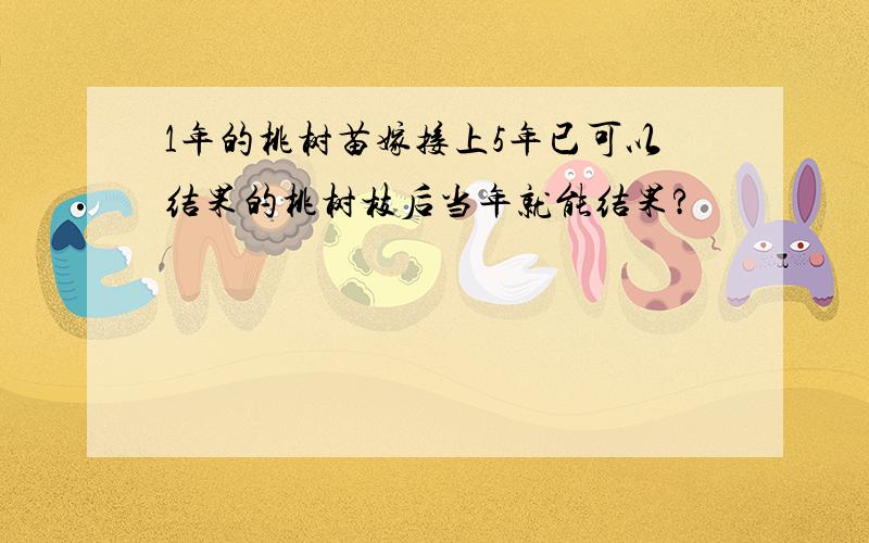 1年的桃树苗嫁接上5年已可以结果的桃树枝后当年就能结果?