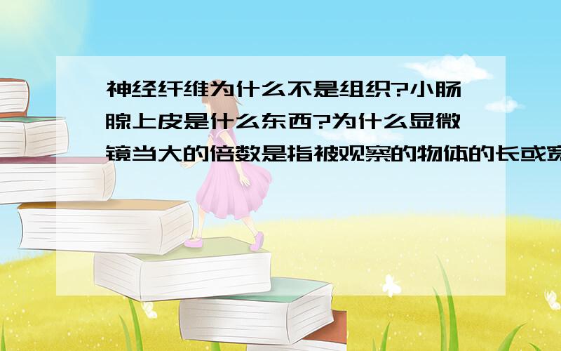 神经纤维为什么不是组织?小肠腺上皮是什么东西?为什么显微镜当大的倍数是指被观察的物体的长或宽放大的倍