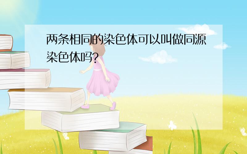 两条相同的染色体可以叫做同源染色体吗?