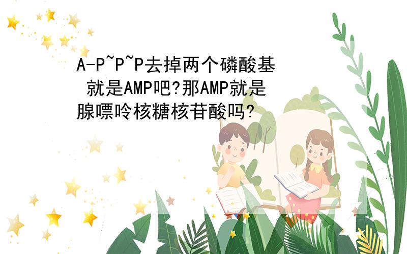 A-P~P~P去掉两个磷酸基 就是AMP吧?那AMP就是腺嘌呤核糖核苷酸吗?