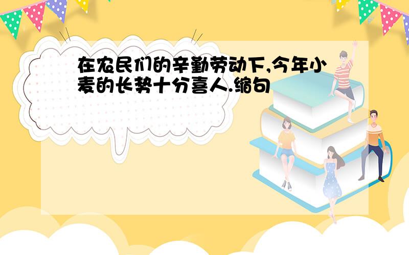 在农民们的辛勤劳动下,今年小麦的长势十分喜人.缩句