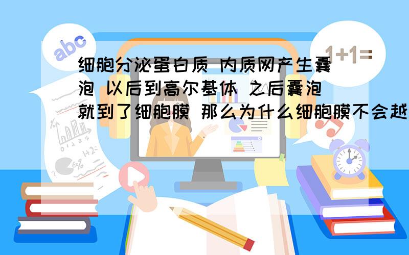 细胞分泌蛋白质 内质网产生囊泡 以后到高尔基体 之后囊泡就到了细胞膜 那么为什么细胞膜不会越来越大